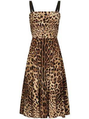 Dolce & Gabbana robe mi-longue à imprimé léopard - Marron