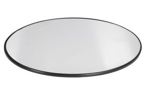 Spiegelglas, buitenspiegel 6102021233952P