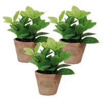 Esschert Design Kunstplant/kruiden munt - 3x stuks - in oude terracotta pot - 16 cm