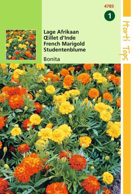 Tagetes patula nana Bonita dubbelbl. gemengd - Hortitops