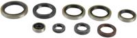 ATHENA motor-keerring set motorshield sx 250/300 mxc/250-300exc