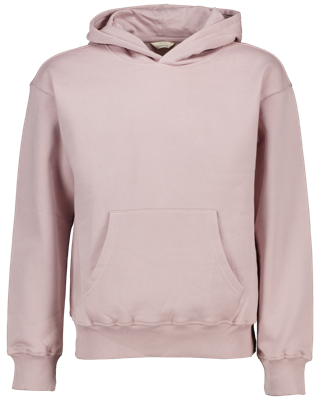 Hoodie - Paars