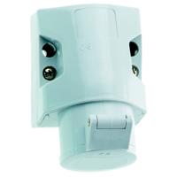 Bals Elektrotechnik 411 411 CEE-wandcontactdoos 16.0 A 2-polig 50 V 1 stuk(s)
