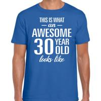 Awesome 30 year - geweldige 30 jaar cadeau t-shirt - blauw - voor heren - Verjaardag cadeau