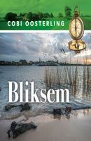 Bliksem - Cobi Oosterling - ebook - thumbnail