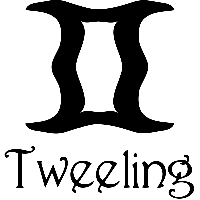 Tweeling sterrenbeeld - Muursticker