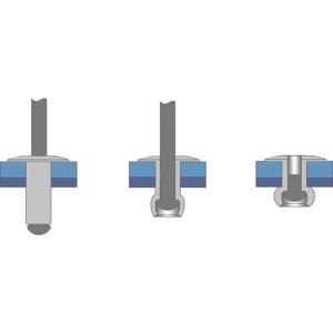 Bralo S01240004008 Popnagel (Ø x l) 4 mm x 8 mm RVS RVS 25 stuk(s)