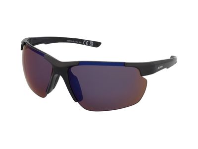 Zonnebrillen Alpina Defey HR Black