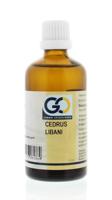 GO Cedrus libani GO Cedrus libani