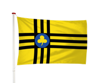 Vlag Vledder