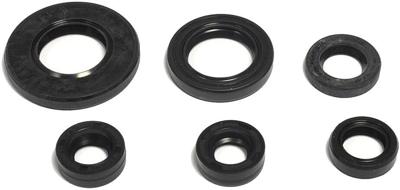 ATHENA motor-keerring set motorshield tt-r 125 ex, 05-10,