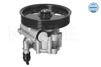 Servo pomp 16146310005
