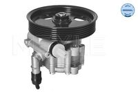 Servo pomp 16146310005