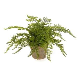 Kunstplant herfst Varen - groen - H30 cm - in pot - nepplant - kamerplant