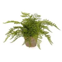 Kunstplant herfst Varen - groen - H30 cm - in pot - nepplant - kamerplant