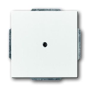 Busch-Jaeger blinde centraalplaat 1742-84 studiowit
