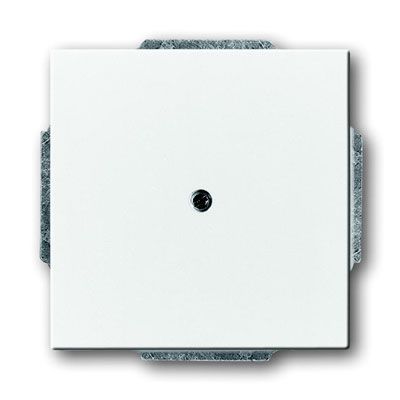 Busch-Jaeger blinde centraalplaat 1742-84 studiowit