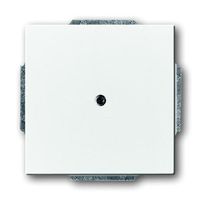 Busch-Jaeger blinde centraalplaat 1742-84 studiowit