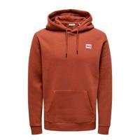 Herenhoodie Only & Sons Onsdawson Reg Hoodie Vd Bruin Maat L