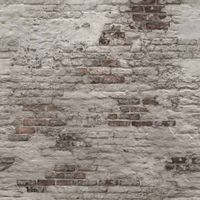 DUTCH WALLCOVERINGS DUTCH WALLCOVERINGS Fotobehang Old Brick Wall grijs