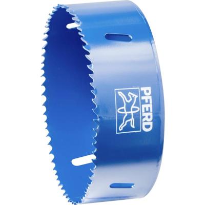 PFERD TOOLS LS 121 121 mm 4 3/4 25103221 Gatenzaag 121 mm 1 stuk(s)
