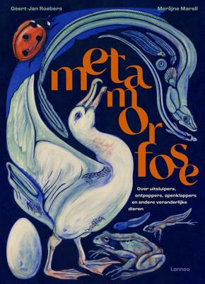 Metamorfose (Hardback)