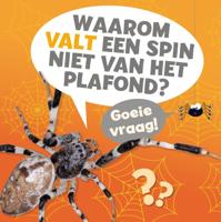 Waarom valt een spin niet van het plafond? (Hardback)