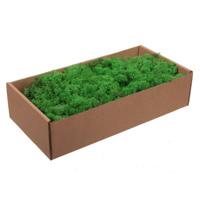 Decoratie mos - groen - naturel - 500 gram - Finlands moss - hobby materiaal