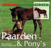 Paarden & Pony'S - thumbnail