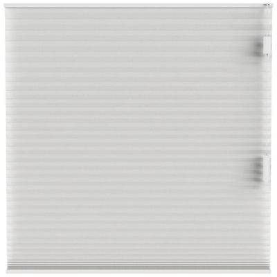 Leen Bakker - Fenstr Plisségordijn Cambridge Dubbel 25mm Transparant - (10325) - Polyester - Wit - 120x10x10 Cm