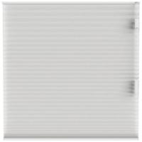 Leen Bakker - Fenstr Plisségordijn Cambridge Dubbel 25mm Transparant - (10325) - Polyester - Wit - 120x10x10 Cm