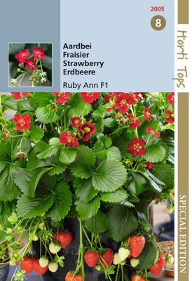HTS Aardbeien Ruby Ann F1 (hangaardbei) - Hortitops