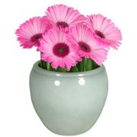 Floran Plantenpot - misty groen - glans - keramiek - 14 x 11 cm