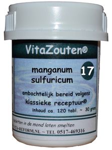 Vitazouten Nr. 17 Manganum Sulfuricum 120st