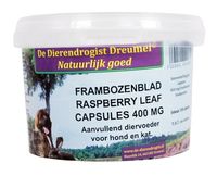 Dierendrogist Frambozenblad capsules - thumbnail