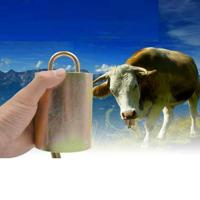 Speciale luide dikke koe paard schapenboerderij dieren anti-verloren luide Bell grootte: XL Speciale luide dikke koe paard schapenboerderij dieren anti-verloren luide Bell grootte: XL