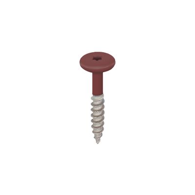 Torx schroef RVS 32 mm 100st Wijnrood - Keralit (2890)