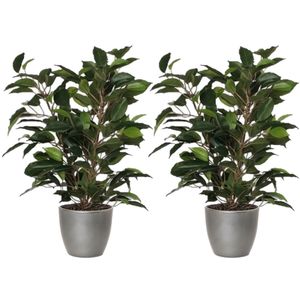 2x stuks groene ficus kunstplant 40 cm met plantenpot zilver metallic D13.5 en H12.5 cm