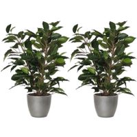 2x stuks groene ficus kunstplant 40 cm met plantenpot zilver metallic D13.5 en H12.5 cm - thumbnail