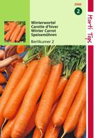 HT Wortelen Berlikumer 2 - Hortitops