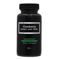 Apb Holland Cranberry extract puur 430mg