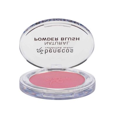 Natural compact blush mallow rose