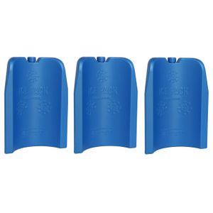 4x stuks koelelementen fles 300 ml 12 x 17 cm blauw