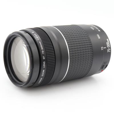 Canon EF 75-300mm f/4-5.6 III occasion