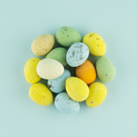 chocolade kievitseieren 8 kg doos