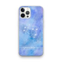 Sterrenbeeld - Licht: iPhone 12 Pro Max Transparant Hoesje