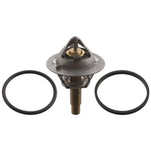 thermostaat 106507