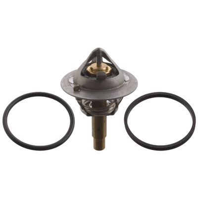 thermostaat 106507
