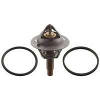 thermostaat 106507