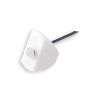 Homefix Golfplaatnagel Met Kap Wit 1.8X30 | 25 stuks - 6701.40.23010